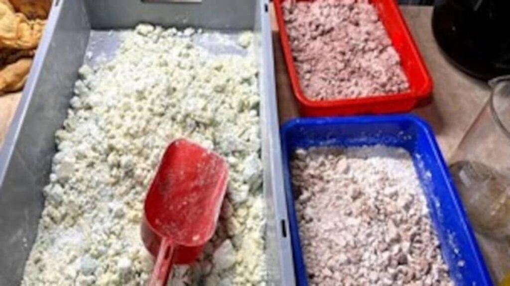 cocskgsc_c_625x300_10_December_25