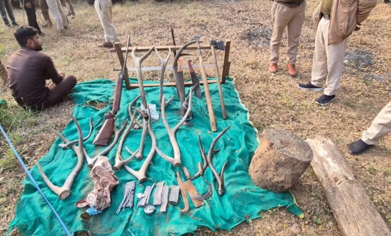 IMG-20260205-WA0186-780x470