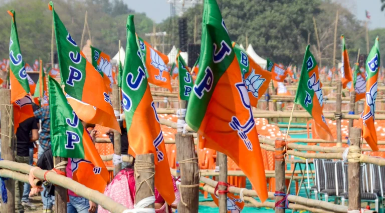 bjpflags