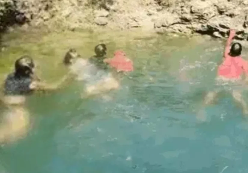 suspensedeathof4girls