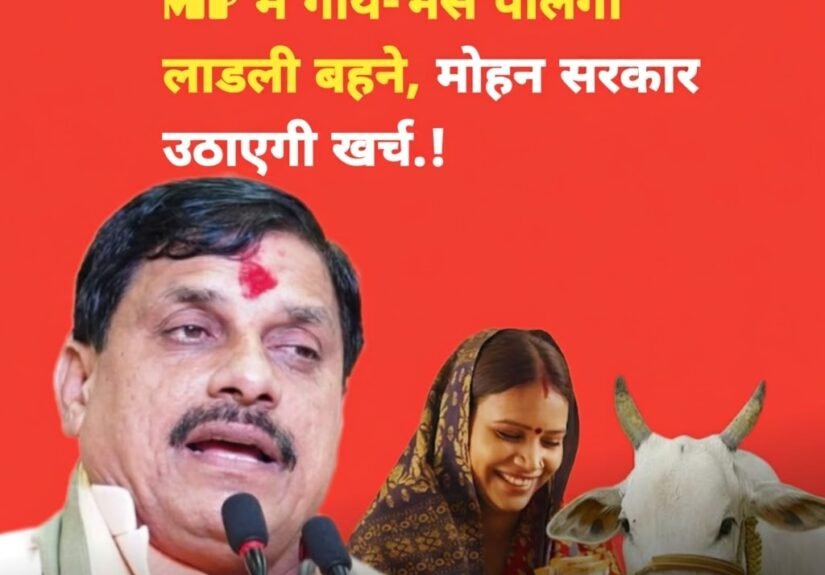 d7fc648f-3c9f-4dd3-94d3-d5f32b6ef46c