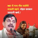 d7fc648f-3c9f-4dd3-94d3-d5f32b6ef46c