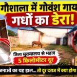 WhatsApp Image 2026-10-27 at 12.00.41 PM