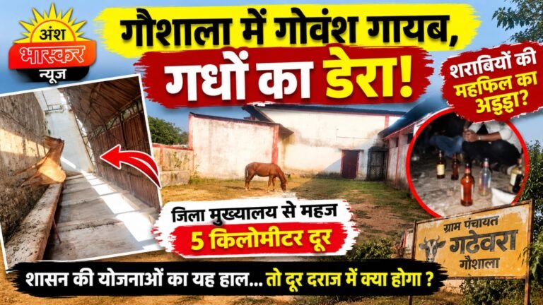 WhatsApp Image 2026-10-27 at 12.00.41 PM